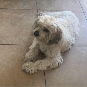 Meet your Posher, Daniella